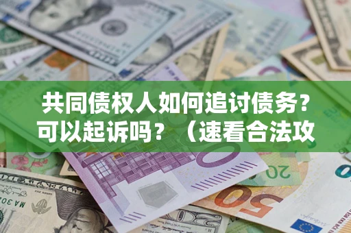 武汉共同债权人如何追讨债务？可以起诉吗？（速看合法攻略）