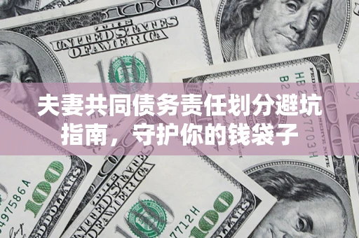 武汉夫妻共同债务责任划分避坑指南，守护你的钱袋子