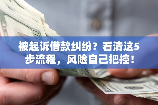 武汉被起诉借款纠纷？看清这5步流程，风险自己把控！