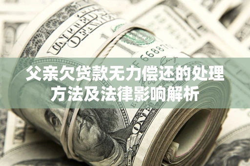 武汉父亲欠贷款无力偿还的处理方法及法律影响解析